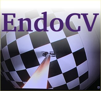 EndoCV 2020